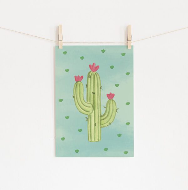 Poster cactus » Mandarine Design