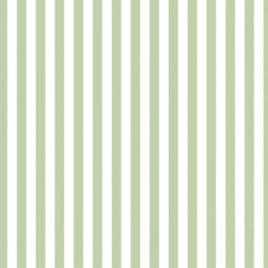 Papel de Parede Listrado Básico Verde